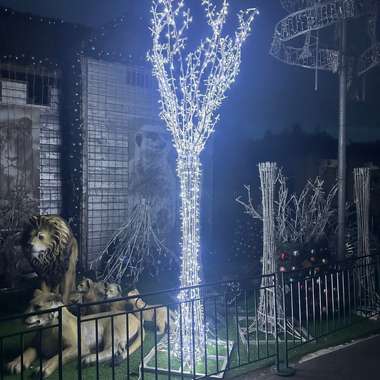 Christmas Lights for Trees and Expert Installation Near You