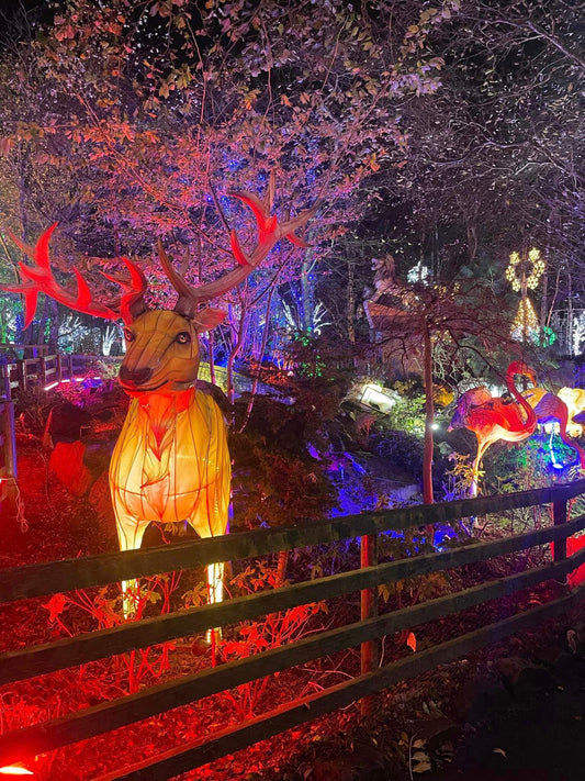 Christmas Lights Clearance