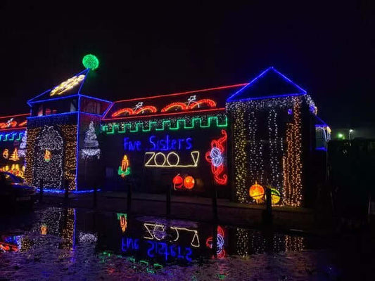 christmas decorations cheap