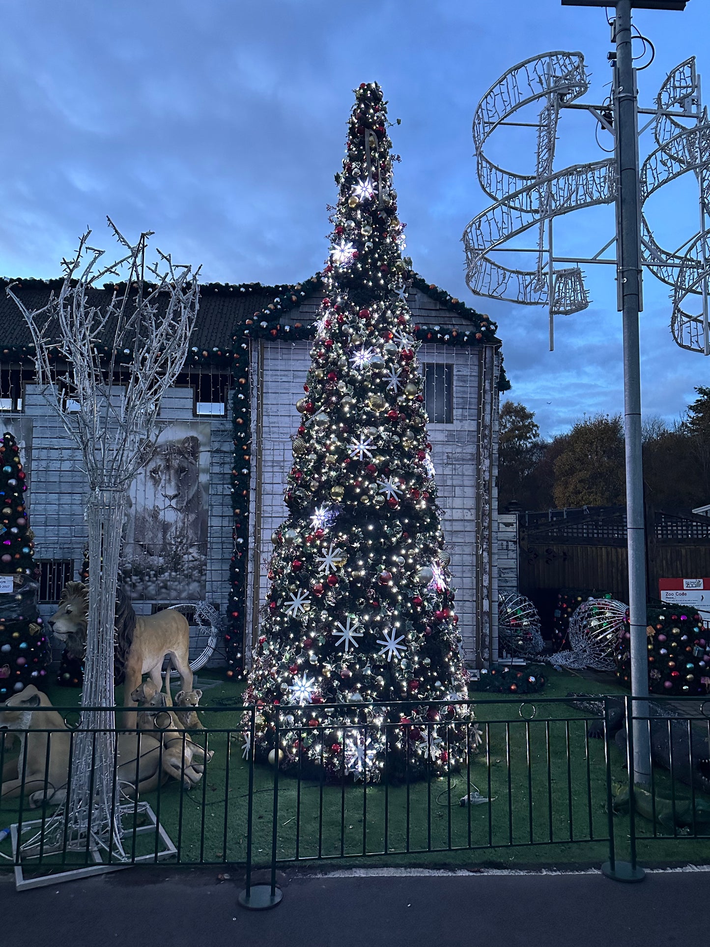 6 meter tall Christmas tree - Large Outdoor Christmas Tree - Luxury Christmas Tree