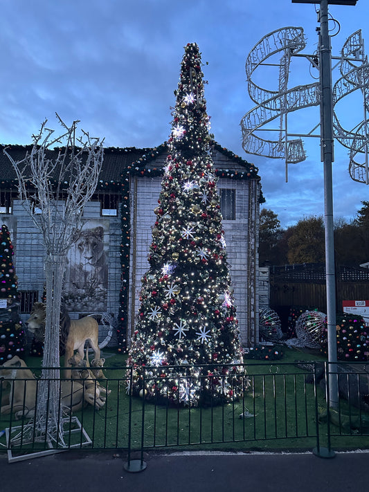 6 meter tall Christmas tree - Large Outdoor Christmas Tree - Luxury Christmas Tree