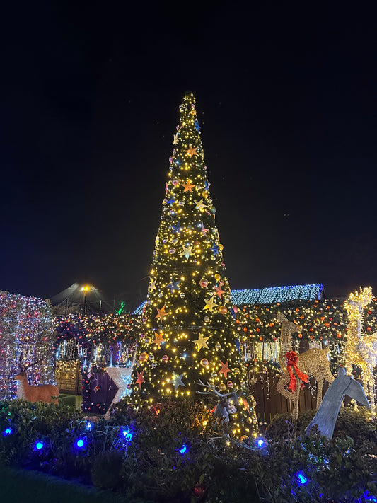 7 Meter Christmas tree | Large Xmas Decorations | Available Now