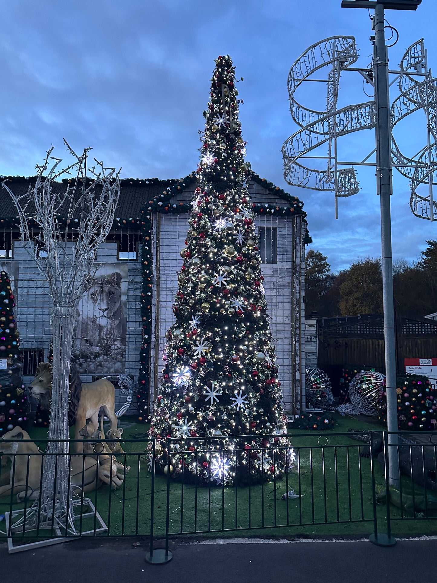 6 meter tall Christmas tree - Large Outdoor Christmas Tree - Luxury Christmas Tree