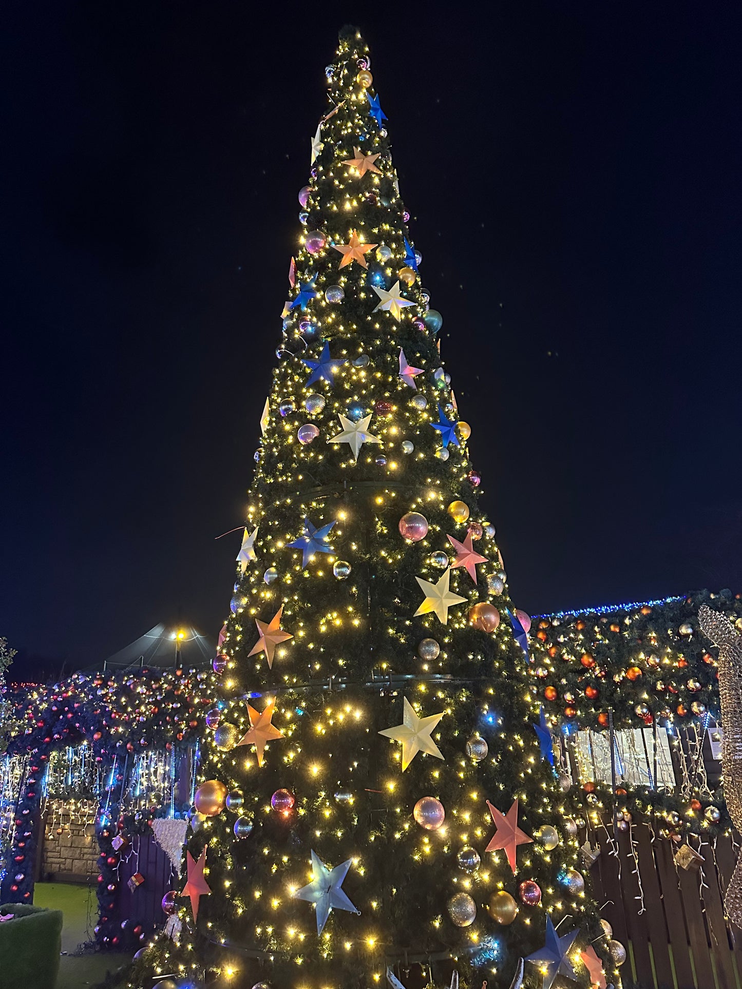 7 Meter Christmas tree | Large Xmas Decorations | Available Now