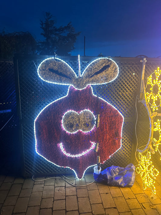Christmas Lights for Sale - Red and White LED Creative light