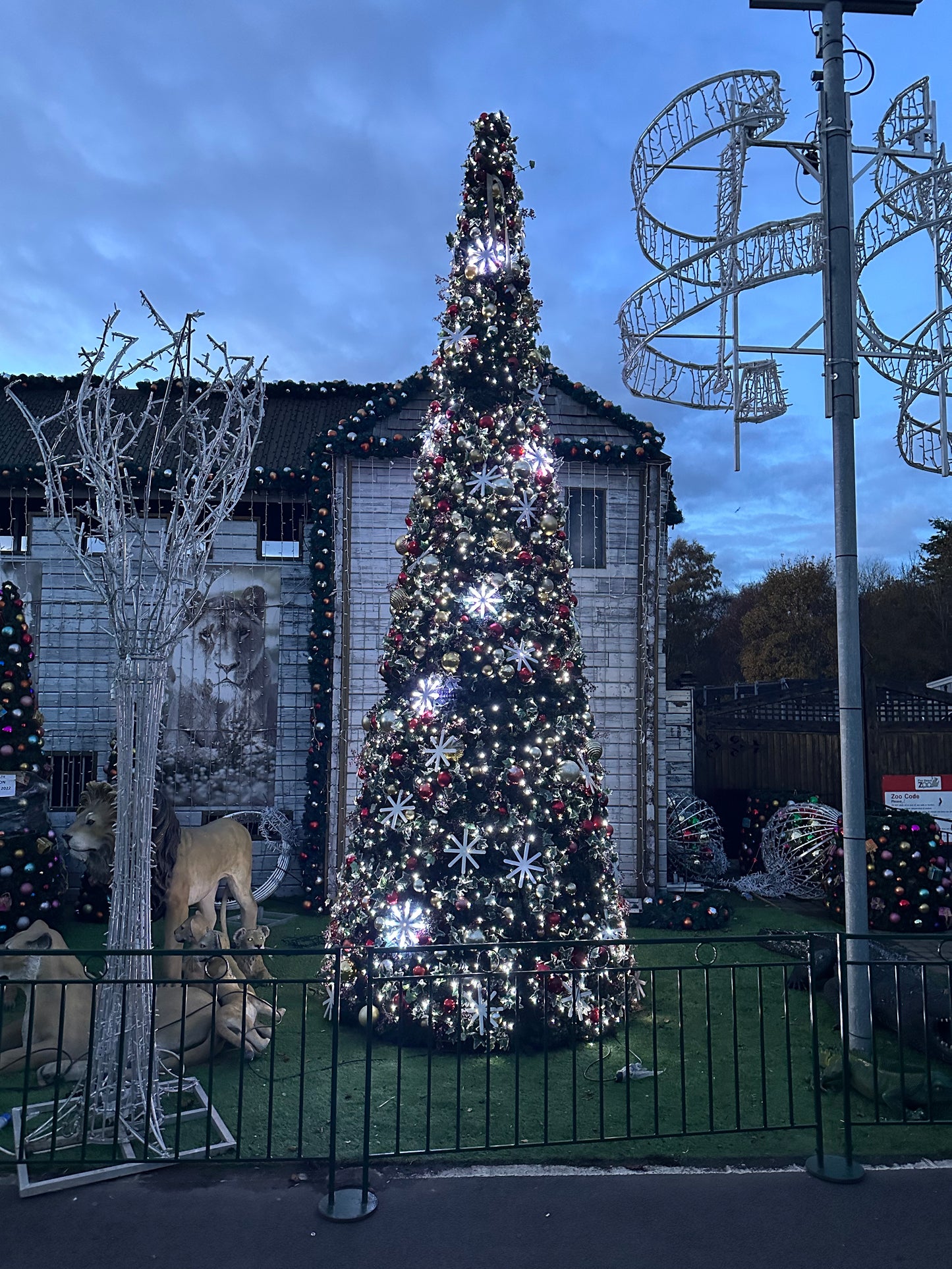6 meter tall Christmas tree - Large Outdoor Christmas Tree - Luxury Christmas Tree