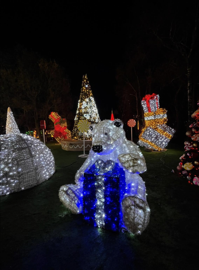 led christmas light manufacturers