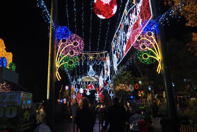 which christmas lights to buy
