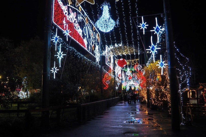 outdoor festive lighting